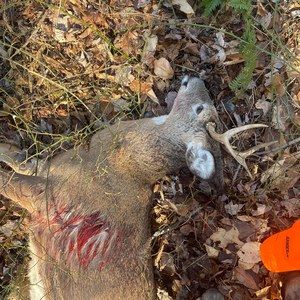 Meet your Posher, Ian